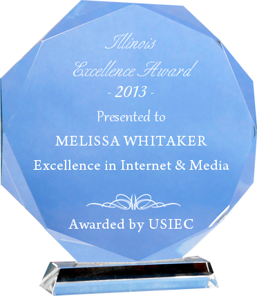 2013 Illinois Excellence Award